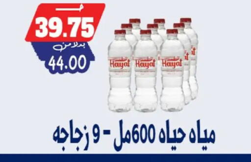 available at بندق ماركت in Egypt - القاهرة
