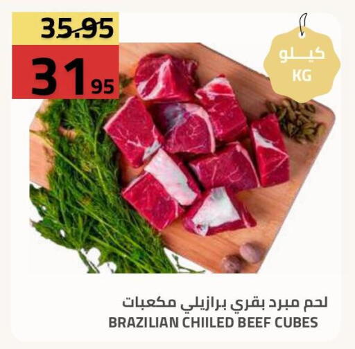 available at أسواق أسترا in مملكة العربية السعودية, السعودية, سعودية - تبوك