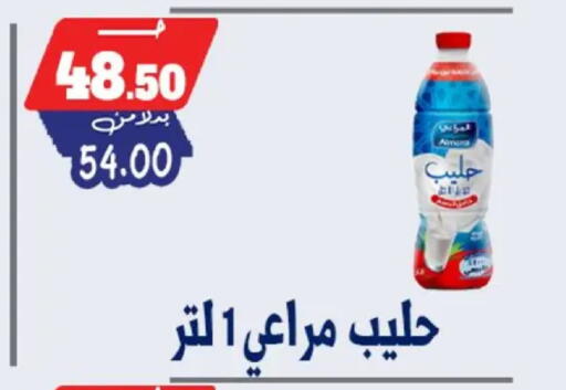 available at Bondok Market  in Egypt - Cairo