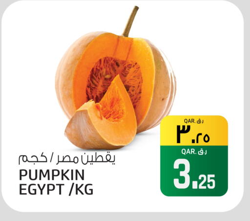 Pumpkin from Egypt available at السعودية in قطر - الوكرة
