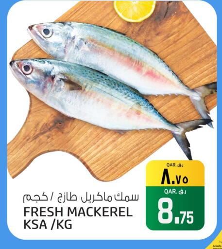 available at السعودية in قطر - الوكرة