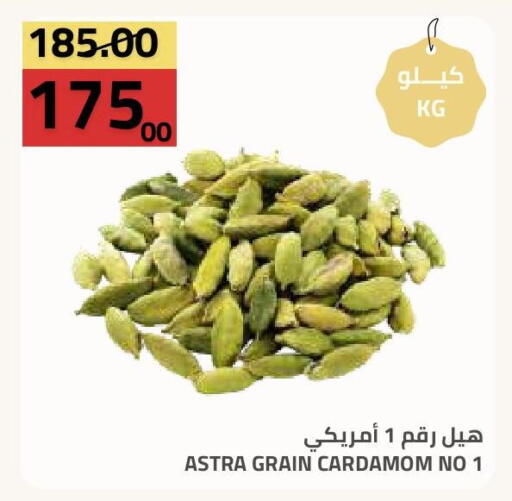 Cardamom available at أسواق أسترا in مملكة العربية السعودية, السعودية, سعودية - تبوك