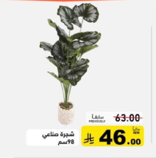 available at أسواق رامز in مملكة العربية السعودية, السعودية, سعودية - حفر الباطن