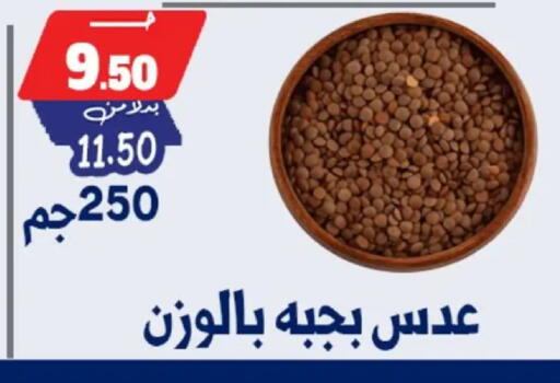 available at Bondok Market  in Egypt - Cairo