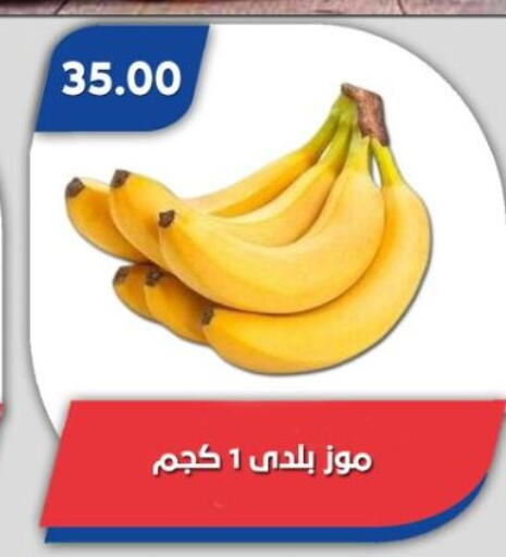 available at Bassem Market in Egypt - Cairo