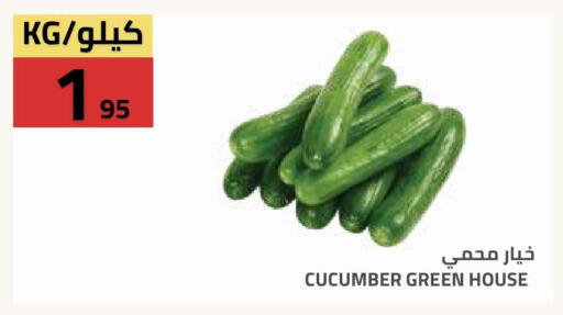 Cucumber available at أسواق أسترا in مملكة العربية السعودية, السعودية, سعودية - تبوك