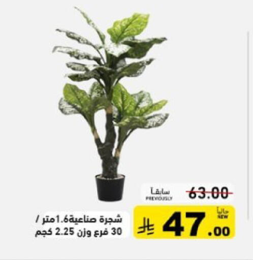 available at أسواق رامز in مملكة العربية السعودية, السعودية, سعودية - حفر الباطن