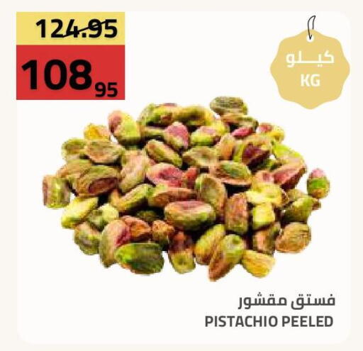 available at أسواق أسترا in مملكة العربية السعودية, السعودية, سعودية - تبوك
