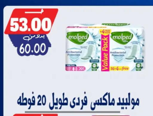 available at Bondok Market  in Egypt - Cairo
