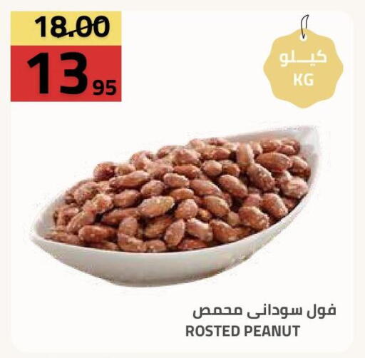 available at أسواق أسترا in مملكة العربية السعودية, السعودية, سعودية - تبوك