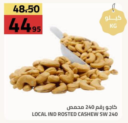 available at أسواق أسترا in مملكة العربية السعودية, السعودية, سعودية - تبوك