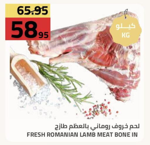 available at أسواق أسترا in مملكة العربية السعودية, السعودية, سعودية - تبوك