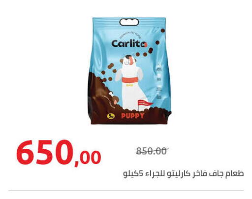 available at هايبر وان in Egypt - القاهرة