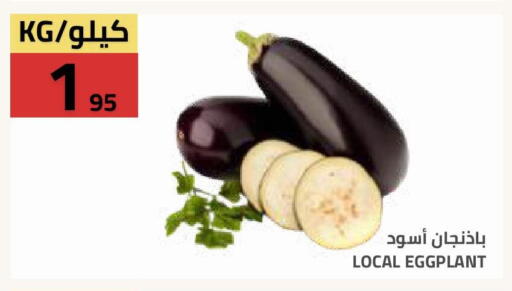 Eggplant available at أسواق أسترا in مملكة العربية السعودية, السعودية, سعودية - تبوك