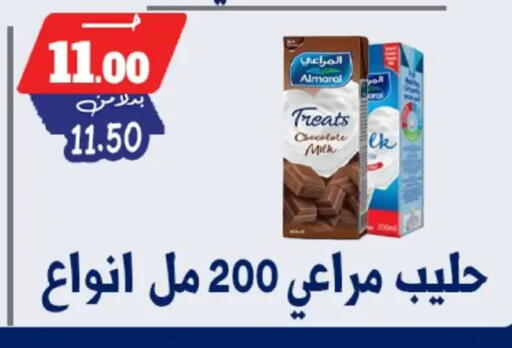 available at Bondok Market  in Egypt - Cairo