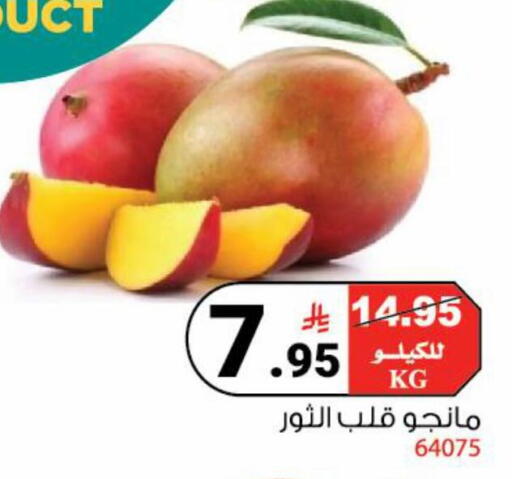 available at House Care in KSA, Saudi Arabia, Saudi - Mecca