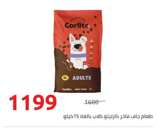 available at هايبر وان in Egypt - القاهرة