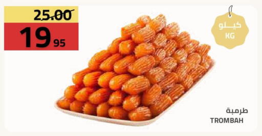 available at أسواق أسترا in مملكة العربية السعودية, السعودية, سعودية - تبوك