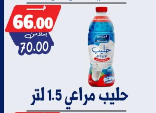 available at Bondok Market  in Egypt - Cairo