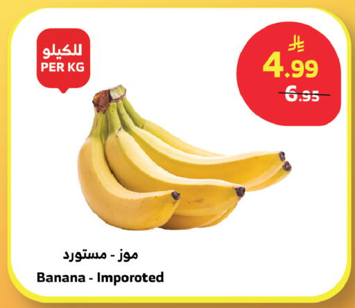 Banana available at الراية in مملكة العربية السعودية, السعودية, سعودية - خميس مشيط