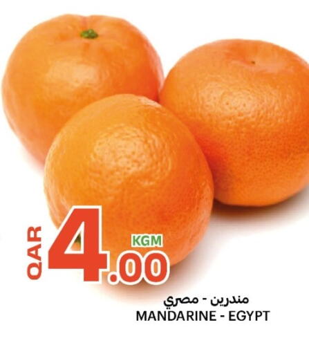 from Egypt available at Al Baladi Al Yawm in Qatar - Al Shamal