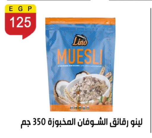 available at بن سليمان in Egypt - القاهرة