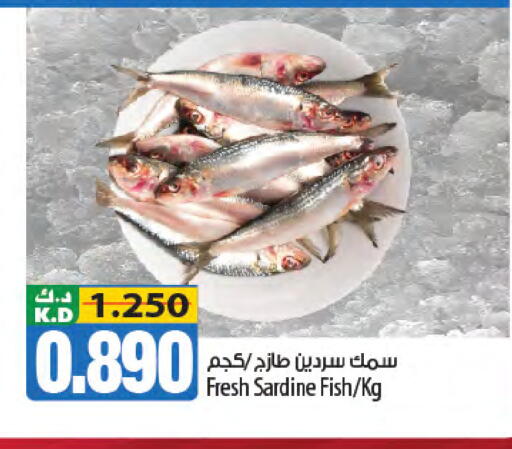 Mango available at مانجو هايبرماركت in الكويت - مدينة الكويت