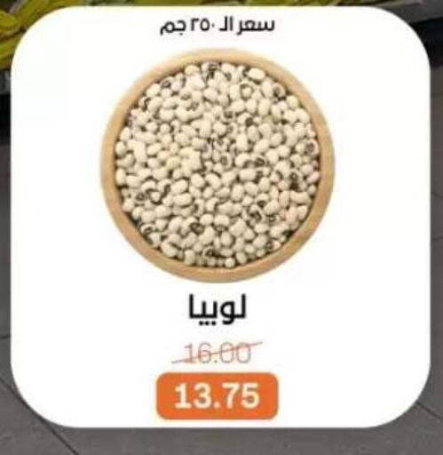 available at بيت الجملة in Egypt - القاهرة