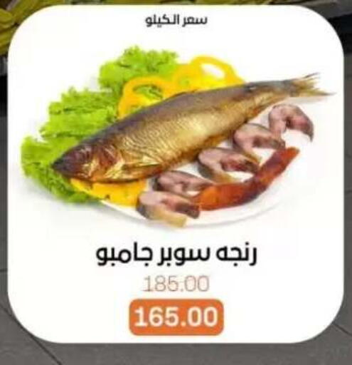 available at Beit El Gomla in Egypt - Cairo