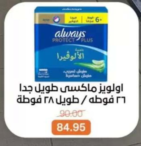 available at Beit El Gomla in Egypt - Cairo