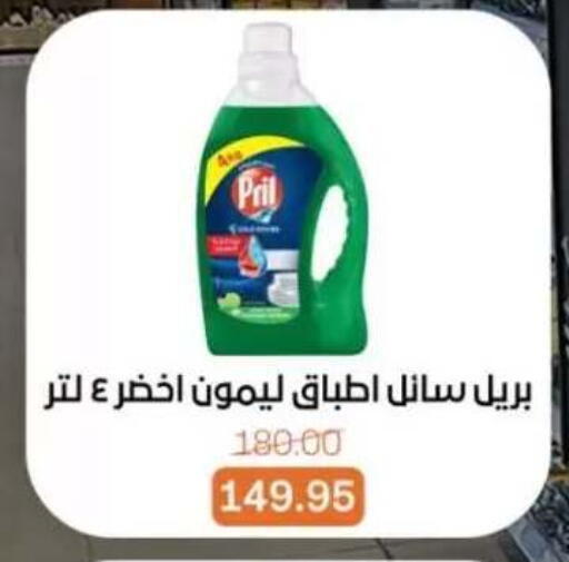 available at Beit El Gomla in Egypt - Cairo