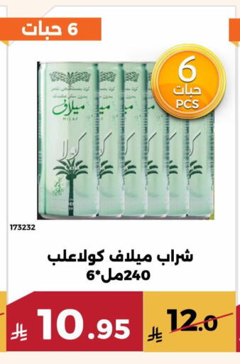 available at حدائق الفرات in مملكة العربية السعودية, السعودية, سعودية - مكة المكرمة