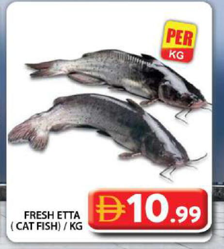 available at جراند هايبر ماركت in الإمارات العربية المتحدة , الامارات - دبي