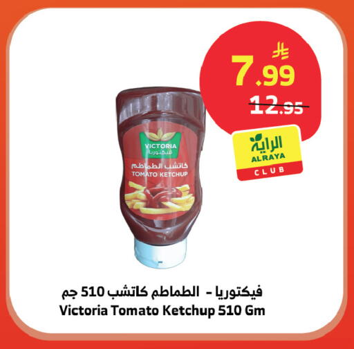 Tomato available at الراية in مملكة العربية السعودية, السعودية, سعودية - خميس مشيط
