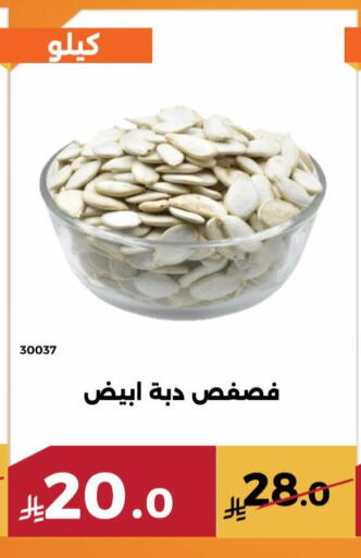 available at حدائق الفرات in مملكة العربية السعودية, السعودية, سعودية - مكة المكرمة