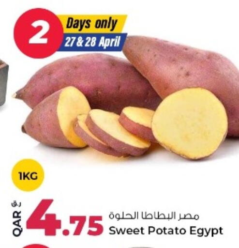Sweet Potato from Egypt available at روابي هايبرماركت in قطر - الوكرة