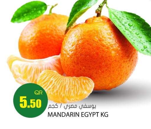Mandarin from Egypt available at Grand Hypermarket in Qatar - Doha