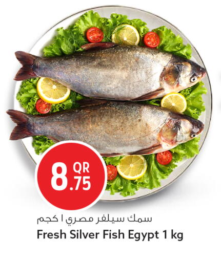 available at Safari Hypermarket in Qatar - Al Shamal