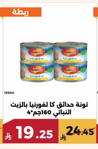 available at Forat Garden in KSA, Saudi Arabia, Saudi - Mecca