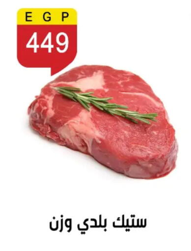 available at بن سليمان in Egypt - القاهرة