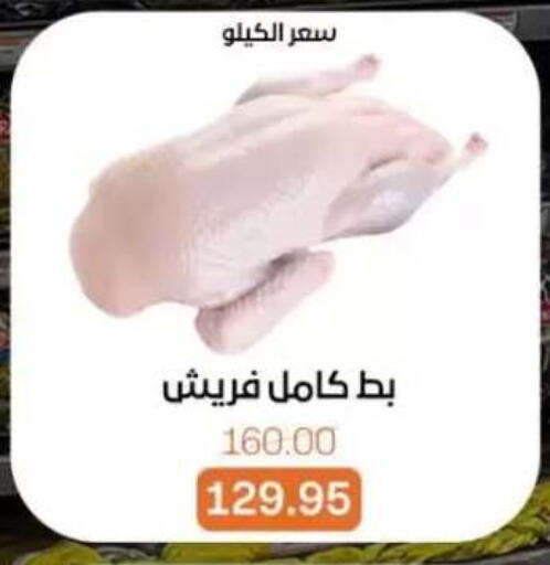 available at Beit El Gomla in Egypt - Cairo