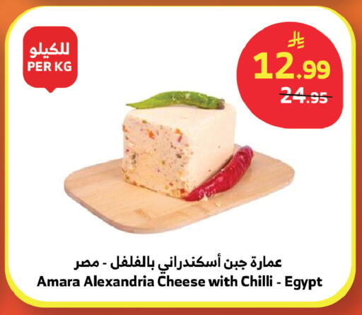 Chilli available at الراية in مملكة العربية السعودية, السعودية, سعودية - تبوك