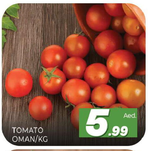 Tomato from Oman available at Al Madina  in UAE - Sharjah / Ajman