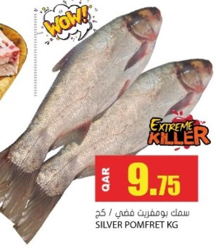 available at جراند هايبرماركت in قطر - الدوحة