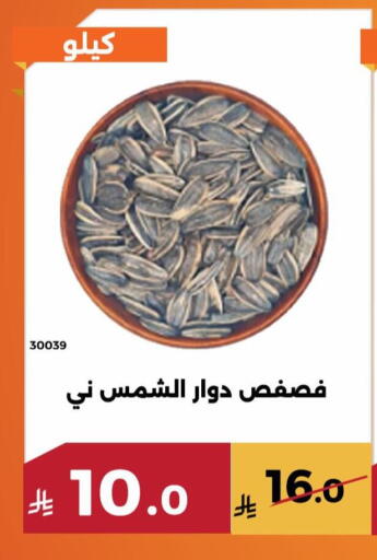 available at حدائق الفرات in مملكة العربية السعودية, السعودية, سعودية - مكة المكرمة