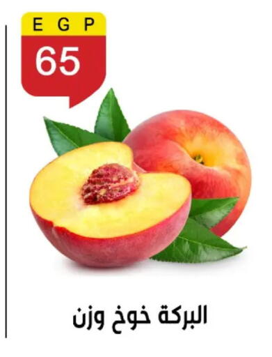 available at بن سليمان in Egypt - القاهرة