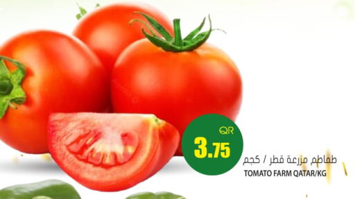 Tomato from Qatar available at جراند هايبرماركت in قطر - الدوحة