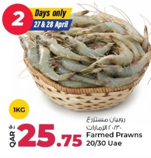 available at روابي هايبرماركت in قطر - الوكرة