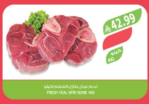 available at المزرعة in مملكة العربية السعودية, السعودية, سعودية - تبوك