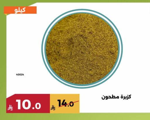 available at حدائق الفرات in مملكة العربية السعودية, السعودية, سعودية - مكة المكرمة
